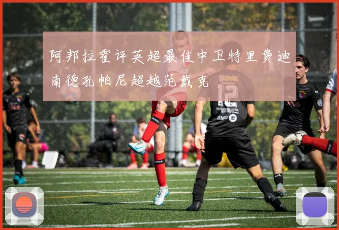 阿邦拉霍评英超最佳中卫特里费迪南德孔帕尼超越范戴克
