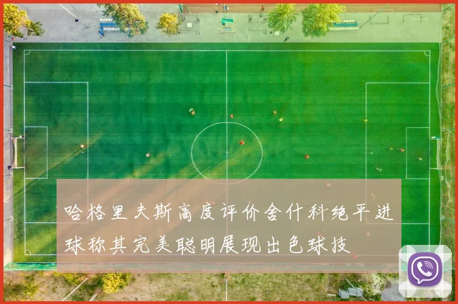 哈格里夫斯高度评价舍什科绝平进球称其完美聪明展现出色球技