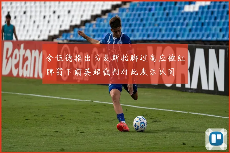 舍伍德指出戈麦斯抬脚过高应被红牌罚下前英超裁判对此表示认同