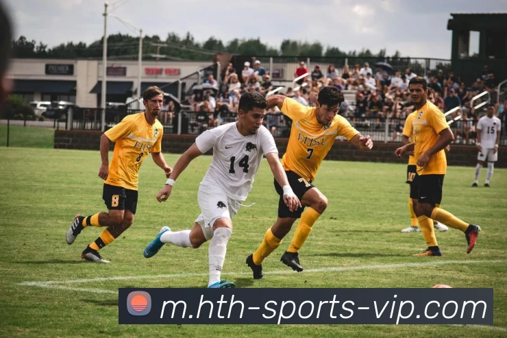 华体会服务体系